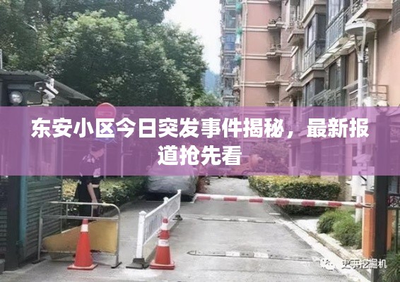 東安小區(qū)今日突發(fā)事件揭秘，最新報(bào)道搶先看