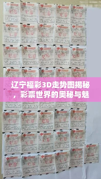 遼寧福彩3D走勢圖揭秘，彩票世界的奧秘與魅力探索