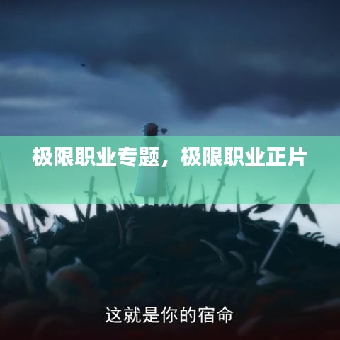 極限職業(yè)專題，極限職業(yè)正片 