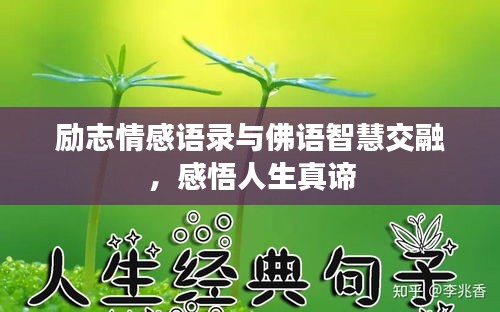 勵志情感語錄與佛語智慧交融，感悟人生真諦