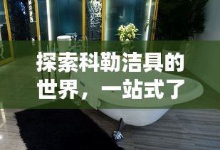探索科勒潔具的世界，一站式了解科勒官網(wǎng)精品衛(wèi)浴體驗(yàn)