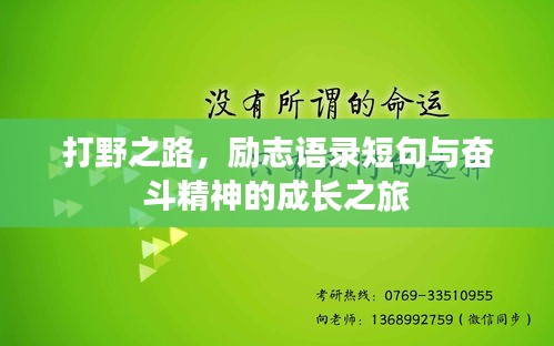 打野之路，勵志語錄短句與奮斗精神的成長之旅