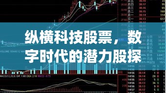 縱橫科技股票，數(shù)字時(shí)代的潛力股探索