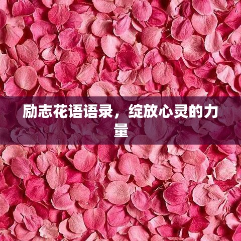勵(lì)志花語(yǔ)語(yǔ)錄，綻放心靈的力量