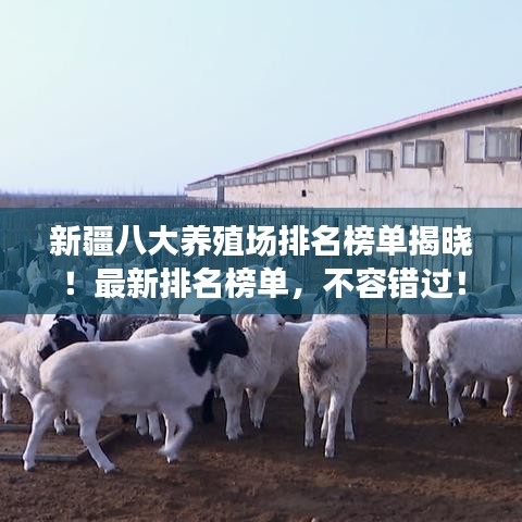 新疆八大養(yǎng)殖場(chǎng)排名榜單揭曉！最新排名榜單，不容錯(cuò)過！