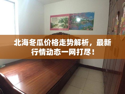 北海冬瓜價(jià)格走勢(shì)解析，最新行情動(dòng)態(tài)一網(wǎng)打盡！