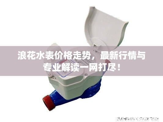 浪花水表價格走勢，最新行情與專業(yè)解讀一網(wǎng)打盡！