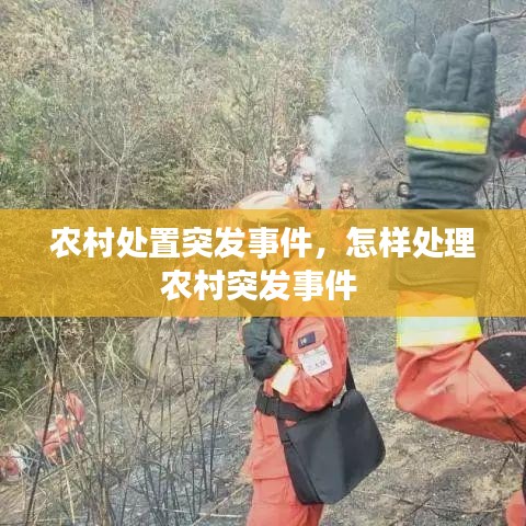 農(nóng)村處置突發(fā)事件，怎樣處理農(nóng)村突發(fā)事件 