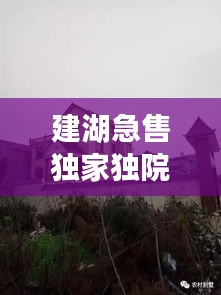 建湖急售獨(dú)家獨(dú)院，建湖哪里有30到40萬(wàn)的房子 