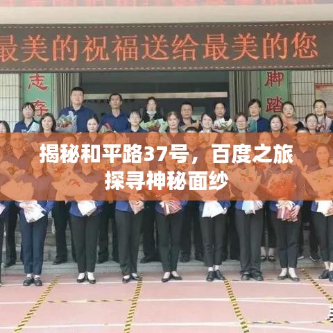 揭秘和平路37號(hào)，百度之旅探尋神秘面紗