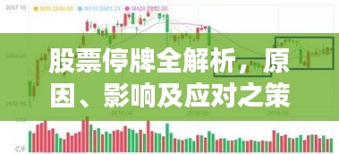 股票停牌全解析，原因、影響及應對之策