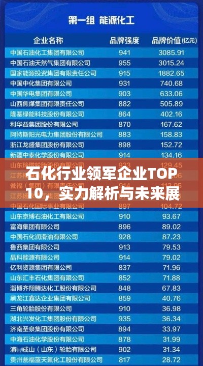 石化行業(yè)領(lǐng)軍企業(yè)TOP10，實(shí)力解析與未來(lái)展望