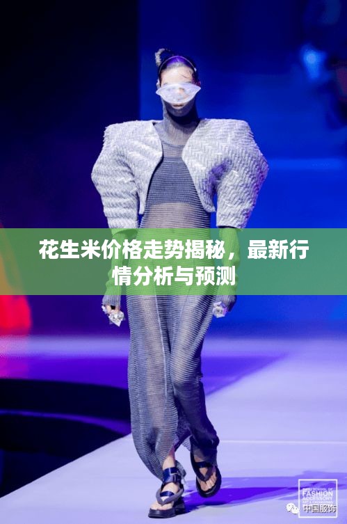 花生米價(jià)格走勢(shì)揭秘，最新行情分析與預(yù)測(cè)