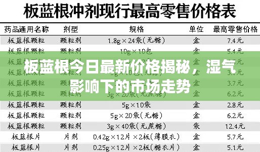 板藍(lán)根今日最新價格揭秘，濕氣影響下的市場走勢