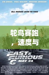 鴕鳥(niǎo)賽跑，速度與優(yōu)雅的激情競(jìng)技之旅