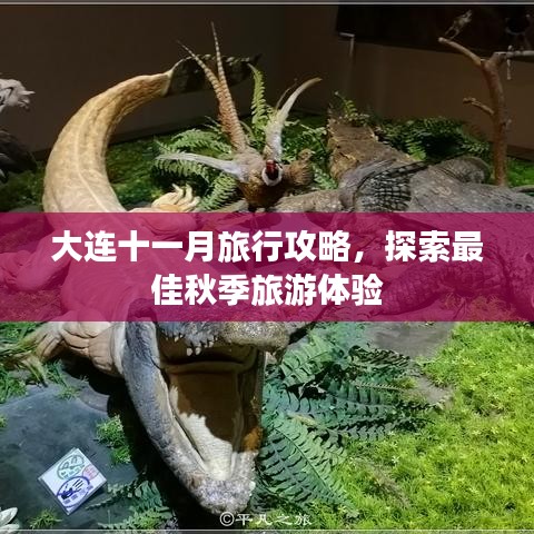 大連十一月旅行攻略，探索最佳秋季旅游體驗(yàn)