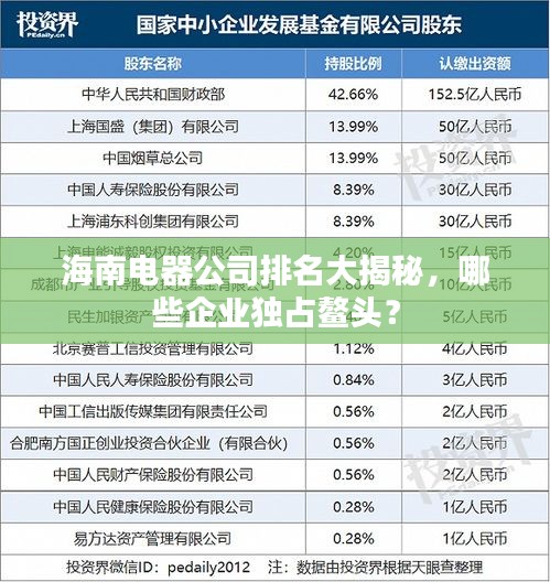 海南電器公司排名大揭秘，哪些企業(yè)獨占鰲頭？
