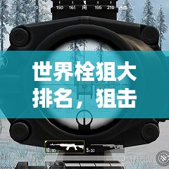 世界栓狙大排名，狙擊槍界的翹楚榜單揭曉！