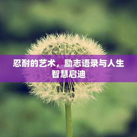 忍耐的藝術(shù)，勵志語錄與人生智慧啟迪