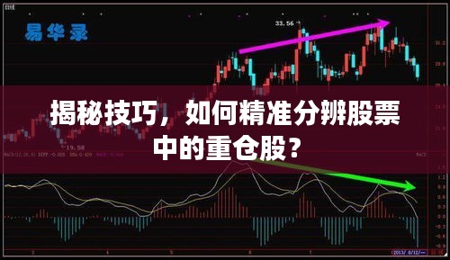 揭秘技巧，如何精準(zhǔn)分辨股票中的重倉股？