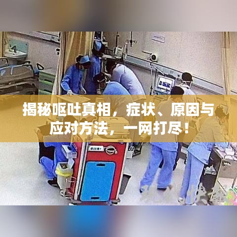 揭秘嘔吐真相，癥狀、原因與應對方法，一網(wǎng)打盡！