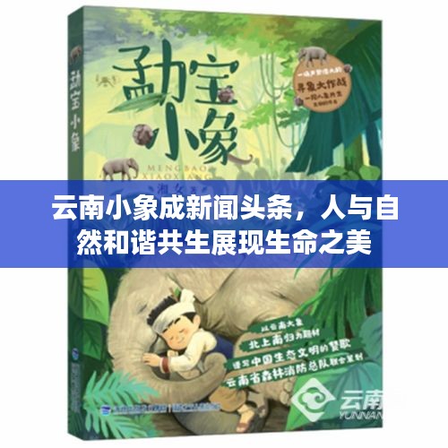 云南小象成新聞?lì)^條，人與自然和諧共生展現(xiàn)生命之美