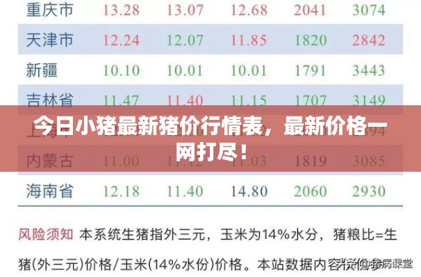 今日小豬最新豬價(jià)行情表，最新價(jià)格一網(wǎng)打盡！