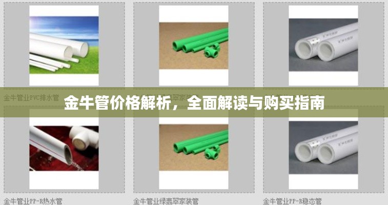金牛管價(jià)格解析，全面解讀與購買指南
