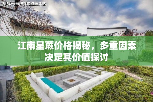 江南星蕨價格揭秘，多重因素決定其價值探討
