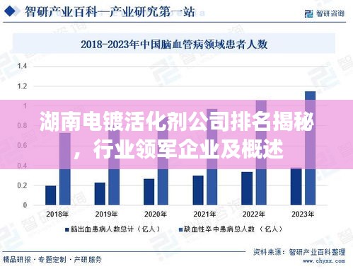 湖南電鍍活化劑公司排名揭秘，行業(yè)領(lǐng)軍企業(yè)及概述