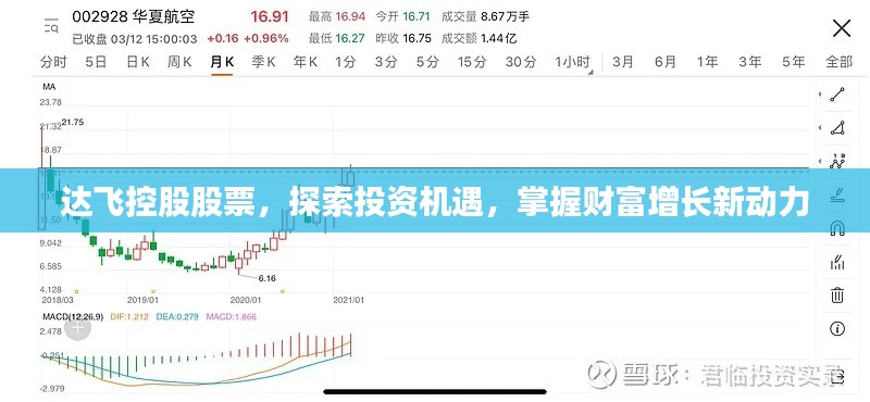 達(dá)飛控股股票，探索投資機遇，掌握財富增長新動力