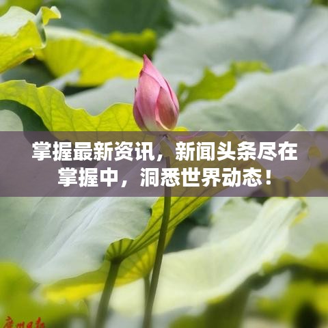 掌握最新資訊，新聞?lì)^條盡在掌握中，洞悉世界動(dòng)態(tài)！