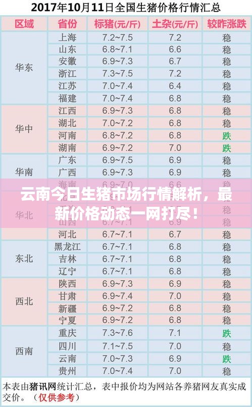 云南今日生豬市場行情解析，最新價格動態(tài)一網(wǎng)打盡！