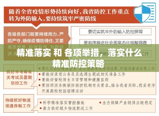 精準落實 和 各項舉措，落實什么精準防控策略 
