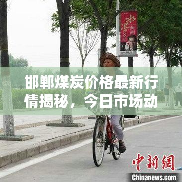 邯鄲煤炭價格最新行情揭秘，今日市場動態(tài)分析