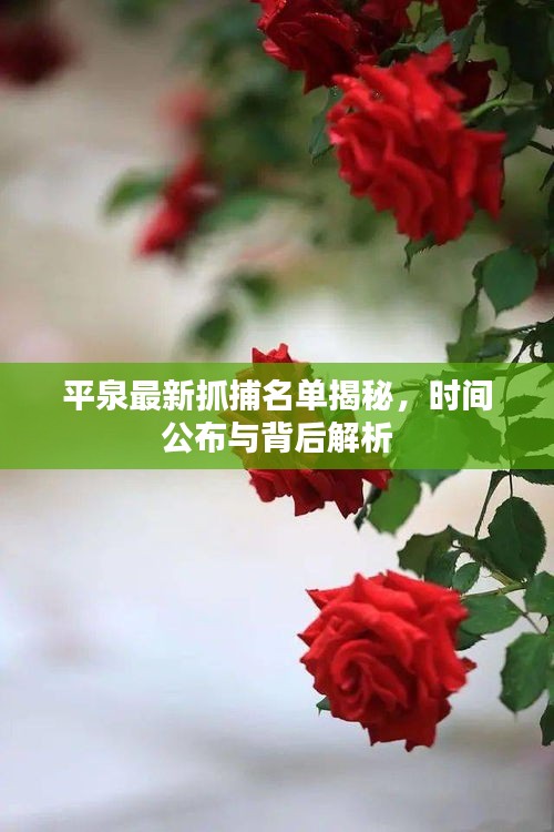 平泉最新抓捕名單揭秘，時間公布與背后解析