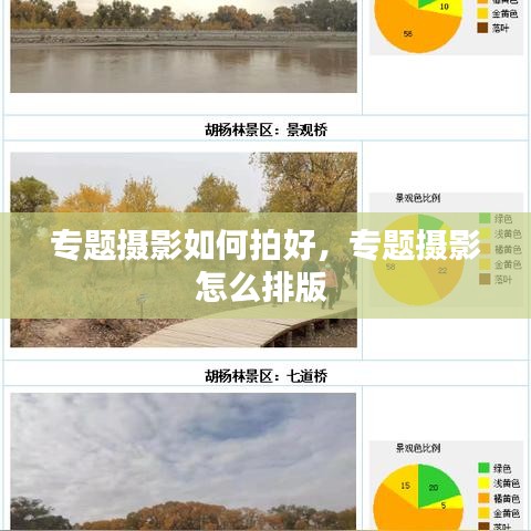 專題攝影如何拍好，專題攝影怎么排版 