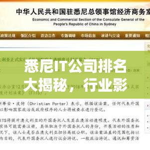 悉尼IT公司排名大揭秘，行業(yè)影響力深度解析