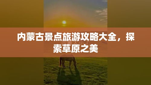 內(nèi)蒙古景點(diǎn)旅游攻略大全，探索草原之美