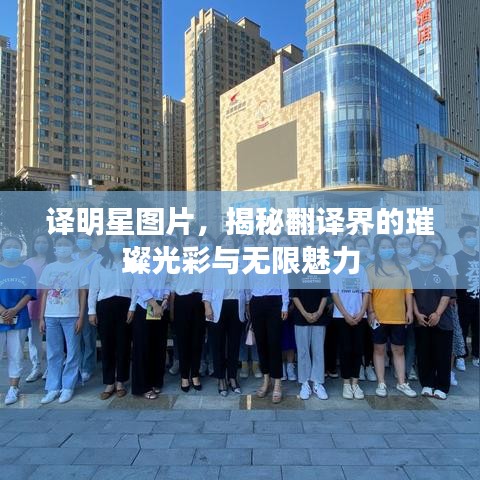 譯明星圖片，揭秘翻譯界的璀璨光彩與無限魅力