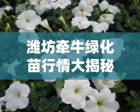 濰坊牽牛綠化苗行情大揭秘，最新價(jià)格分析與趨勢(shì)預(yù)測(cè)