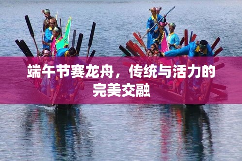 端午節(jié)賽龍舟，傳統(tǒng)與活力的完美交融