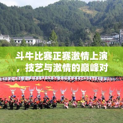 斗牛比賽正賽激情上演，技藝與激情的巔峰對(duì)決
