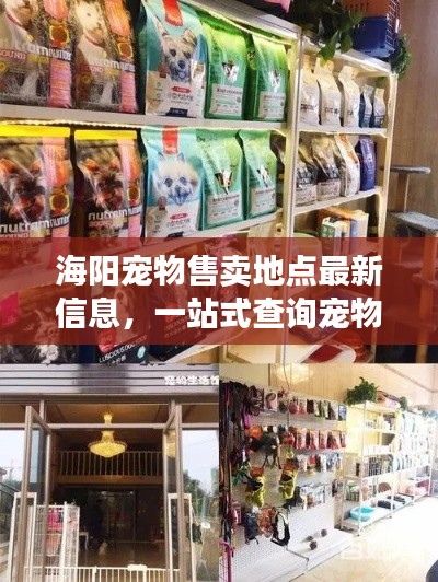 海陽寵物售賣地點最新信息，一站式查詢寵物愛好者福音