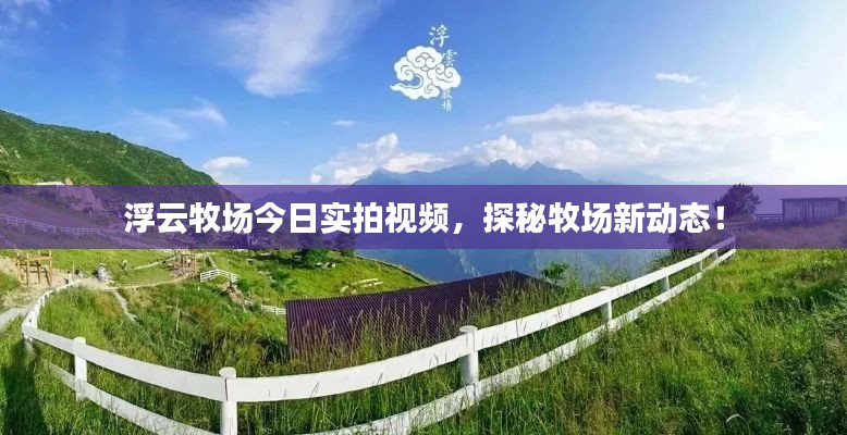 浮云牧場今日實拍視頻，探秘牧場新動態(tài)！