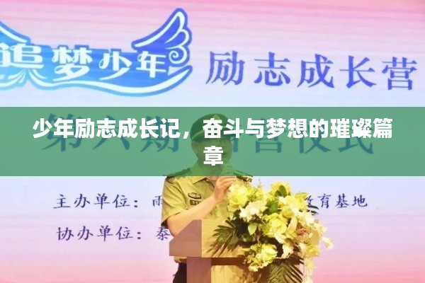 少年勵志成長記，奮斗與夢想的璀璨篇章