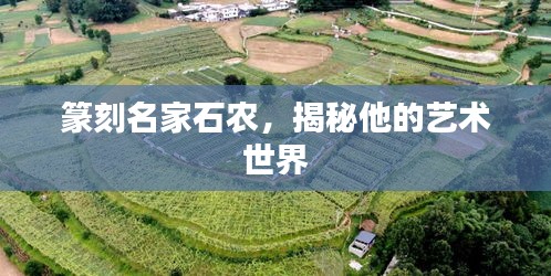 篆刻名家石農(nóng)，揭秘他的藝術(shù)世界