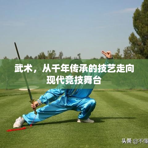 武術(shù)，從千年傳承的技藝走向現(xiàn)代競技舞臺