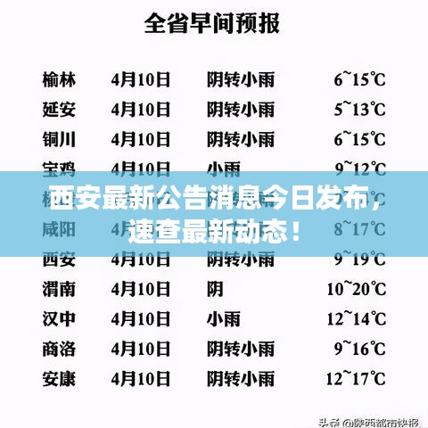 西安最新公告消息今日發(fā)布，速查最新動(dòng)態(tài)！