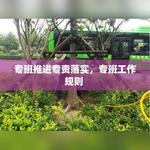 專班推進專責(zé)落實，專班工作規(guī)則 